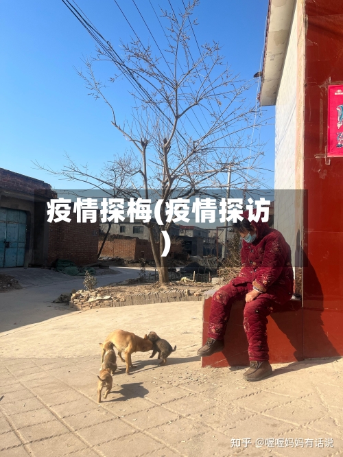 疫情探梅(疫情探访)