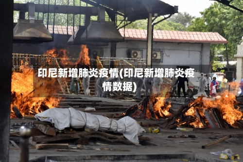 印尼新增肺炎疫情(印尼新增肺炎疫情数据)-第2张图片