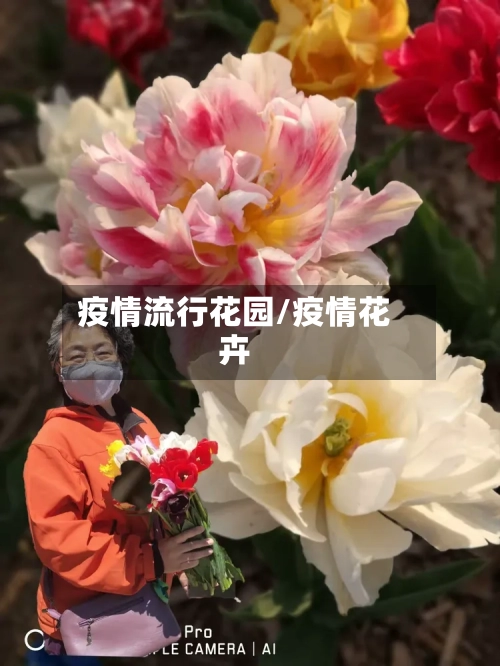 疫情流行花园/疫情花卉-第2张图片