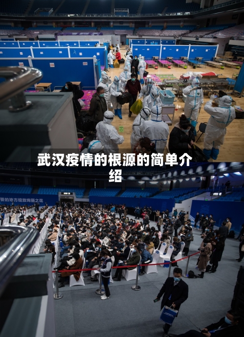 武汉疫情的根源的简单介绍