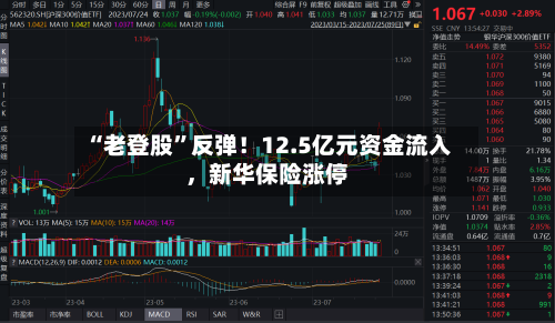 “老登股”反弹！12.5亿元资金流入，新华保险涨停-第2张图片