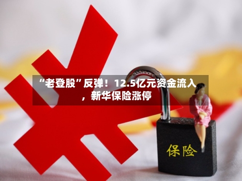 “老登股”反弹！12.5亿元资金流入，新华保险涨停