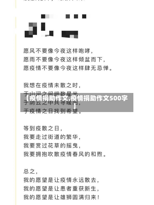 【疫情捐助作文,疫情捐助作文500字】-第2张图片