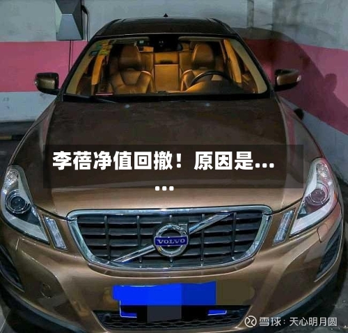 李蓓净值回撤！原因是……