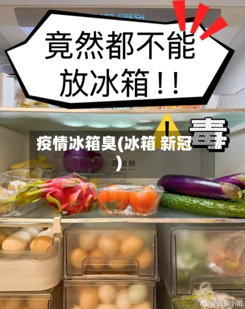 疫情冰箱臭(冰箱 新冠)