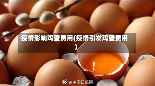 疫情影响鸡蛋费用(疫情引发鸡蛋费用)