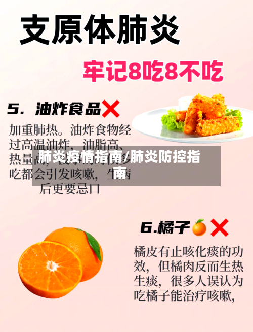 肺炎疫情指南/肺炎防控指南-第2张图片