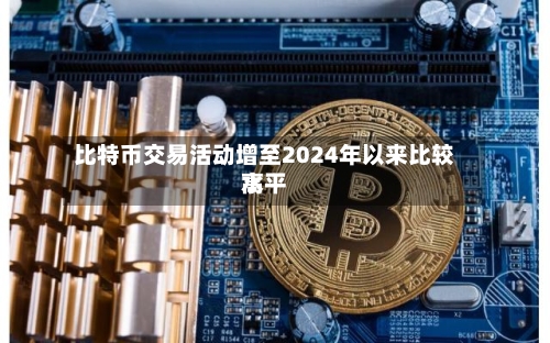 比特币交易活动增至2024年以来比较高水平