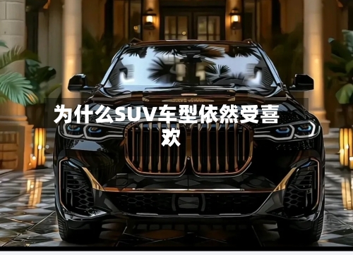 为什么SUV车型依然受喜欢？-第2张图片