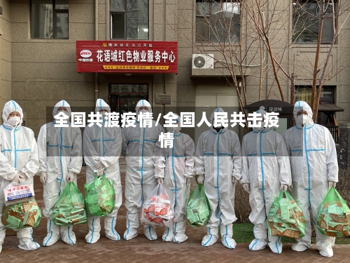 全国共渡疫情/全国人民共击疫情