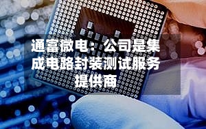 通富微电：公司是集成电路封装测试服务提供商
