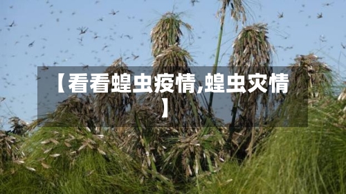 【看看蝗虫疫情,蝗虫灾情】