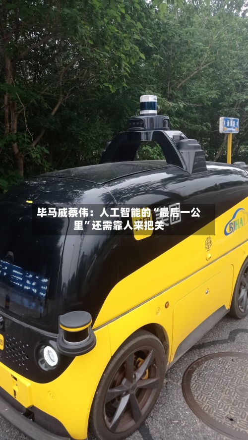 毕马威蔡伟：人工智能的“最后一公里	”还需靠人来把关-第3张图片