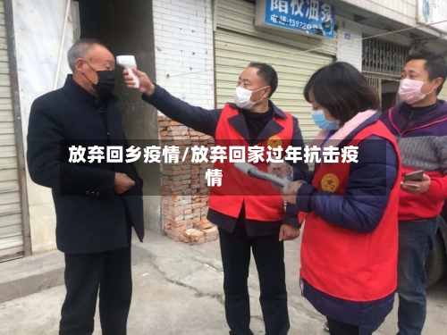 放弃回乡疫情/放弃回家过年抗击疫情-第2张图片