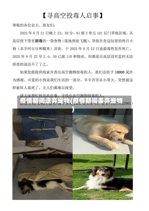 疫情期间遗弃宠物(疫情期间丢弃宠物)-第2张图片