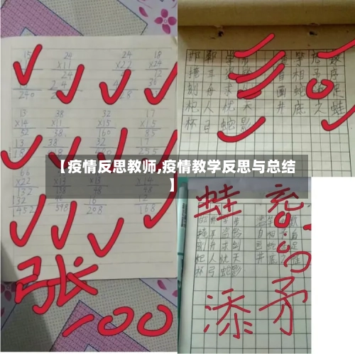 【疫情反思教师,疫情教学反思与总结】-第3张图片