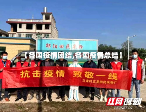 【各国疫情团结,各国疫情总结】-第2张图片