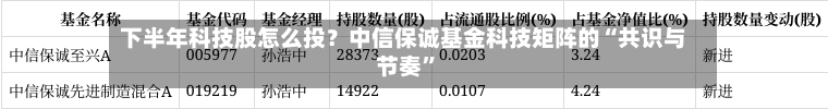 下半年科技股怎么投？中信保诚基金科技矩阵的“共识与节奏”-第3张图片