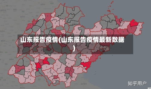 山东报告疫情(山东报告疫情最新数据)-第2张图片