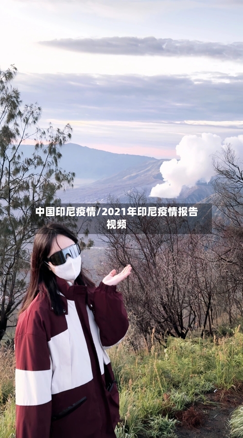 中国印尼疫情/2021年印尼疫情报告视频-第2张图片