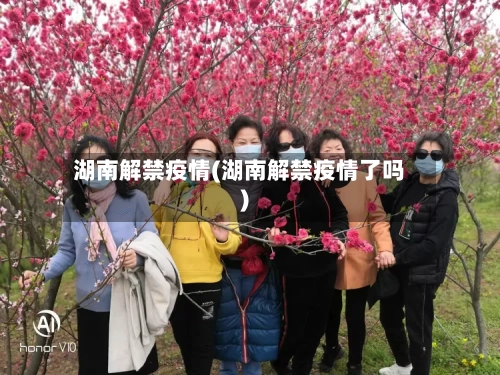 湖南解禁疫情(湖南解禁疫情了吗)
