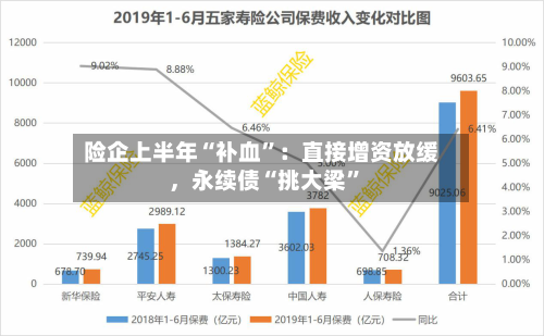 险企上半年“补血”：直接增资放缓	，永续债“挑大梁”-第3张图片