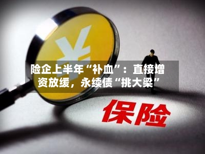 险企上半年“补血	”：直接增资放缓，永续债“挑大梁”-第2张图片