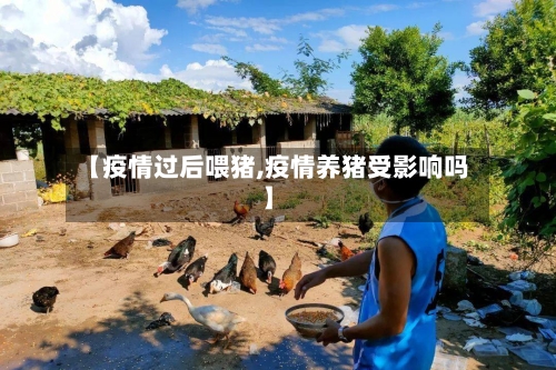 【疫情过后喂猪,疫情养猪受影响吗】