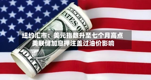 纽约汇市：美元指数升至七个月高点 美联储加息押注盖过油价影响-第3张图片