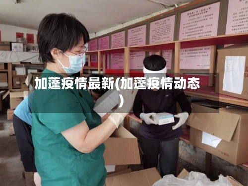 加蓬疫情最新(加蓬疫情动态)