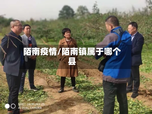 陌南疫情/陌南镇属于哪个县-第2张图片