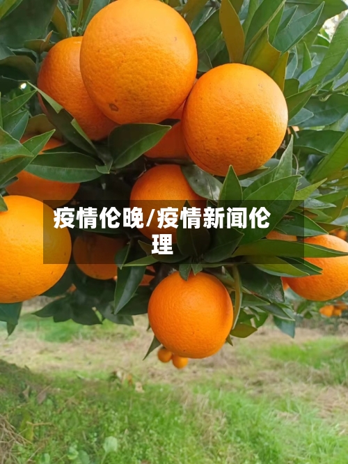 疫情伦晚/疫情新闻伦理-第3张图片