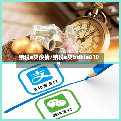 纳税e贷疫情/纳税e贷bdhie0109