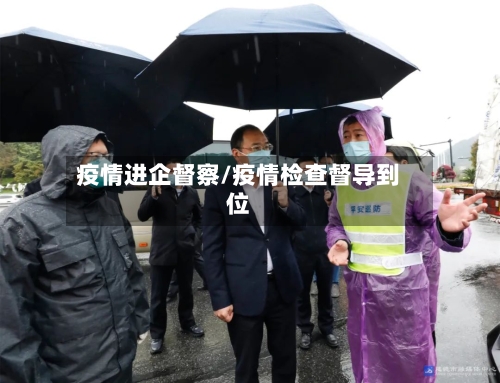 疫情进企督察/疫情检查督导到位