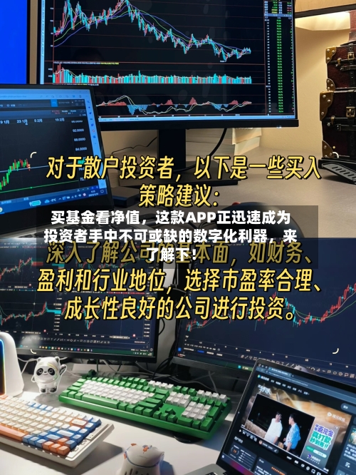 买基金看净值，这款APP正迅速成为投资者手中不可或缺的数字化利器	，来了解下！-第3张图片