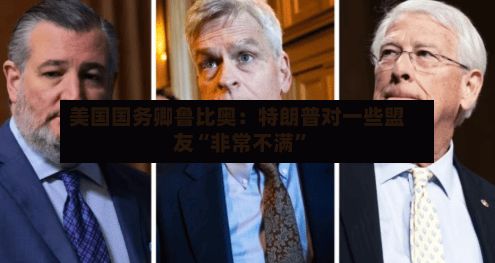 美国国务卿鲁比奥：特朗普对一些盟友“非常不满”