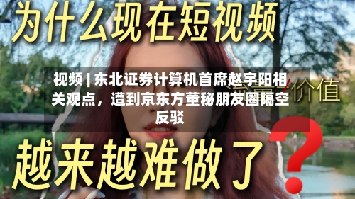 视频 | 东北证券计算机首席赵宇阳相关观点	，遭到京东方董秘朋友圈隔空反驳-第2张图片