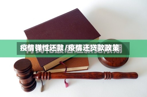 疫情弹性还款/疫情还贷款政策-第3张图片
