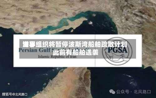 世界海事组织将暂停波斯湾船舶疏散计划 此前有船舶遇袭