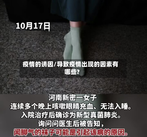 疫情的诱因/导致疫情出现的因素有哪些?