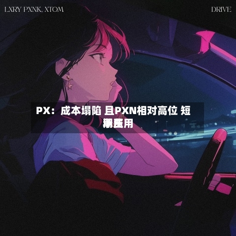 PX：成本塌陷 且PXN相对高位 短期费用承压-第3张图片