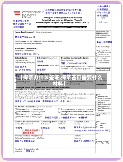 【探亲办什么签证,探亲签证需要什么材料】-第3张图片