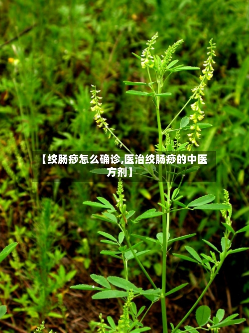 【绞肠痧怎么确诊,医治绞肠痧的中医方剂】