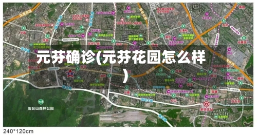 元芬确诊(元芬花园怎么样)-第3张图片