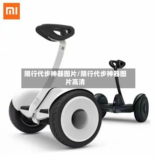 限行代步神器图片/限行代步神器图片高清-第2张图片
