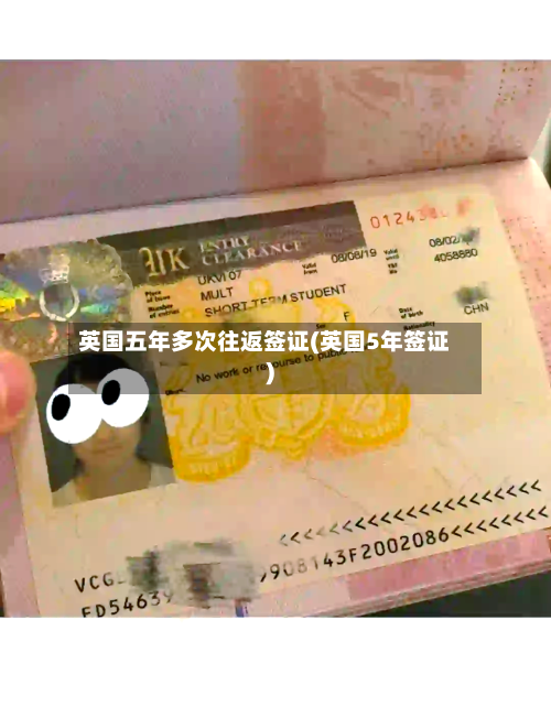 英国五年多次往返签证(英国5年签证)-第2张图片