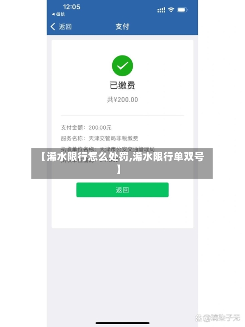 【浠水限行怎么处罚,浠水限行单双号】-第2张图片
