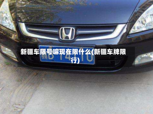 新疆车限号嘛现在限什么(新疆车牌限行)-第2张图片