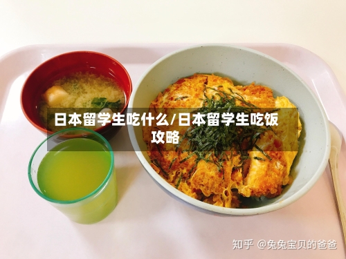日本留学生吃什么/日本留学生吃饭攻略-第2张图片