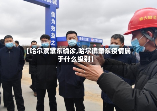 【哈尔滨肇东确诊,哈尔滨肇东疫情属于什么级别】